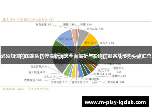 必须知道的国家队伤停最新消息全面解析与影响前瞻备战形势要点汇总