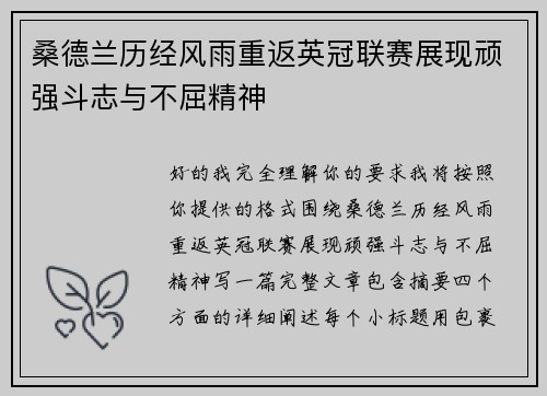 桑德兰历经风雨重返英冠联赛展现顽强斗志与不屈精神 桑德兰历经风雨重返英冠联赛展现顽强斗志与不屈精神